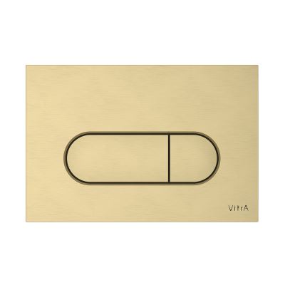 Loop Round Flush Plate - Brushed Gold