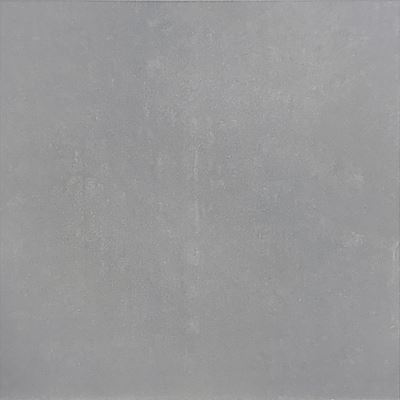 60x60 Essence Light Grey Tile Glossy
