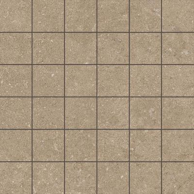 5x5 Newcon Taupe Mosaic R9 Lappato